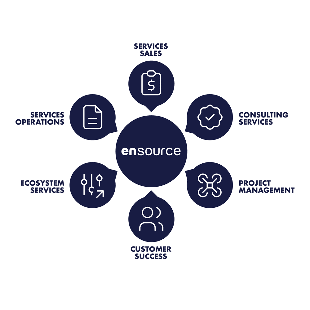 EntelligenceEnsourceInfographic